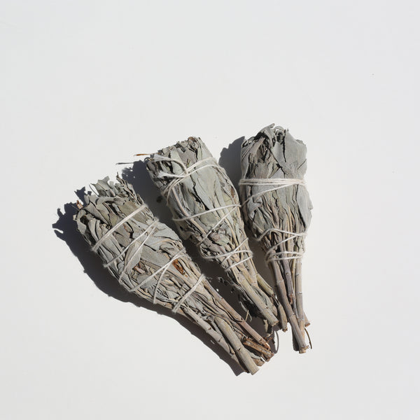 White Sage