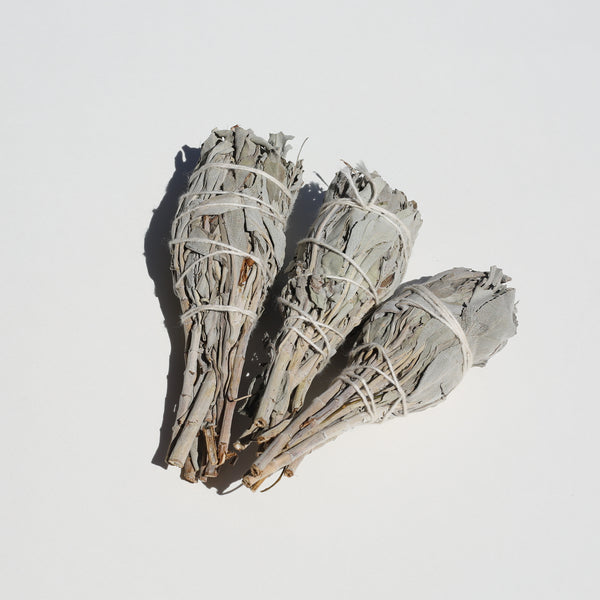White Sage